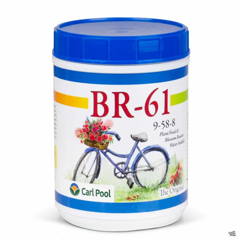 Carl Pool BR-61