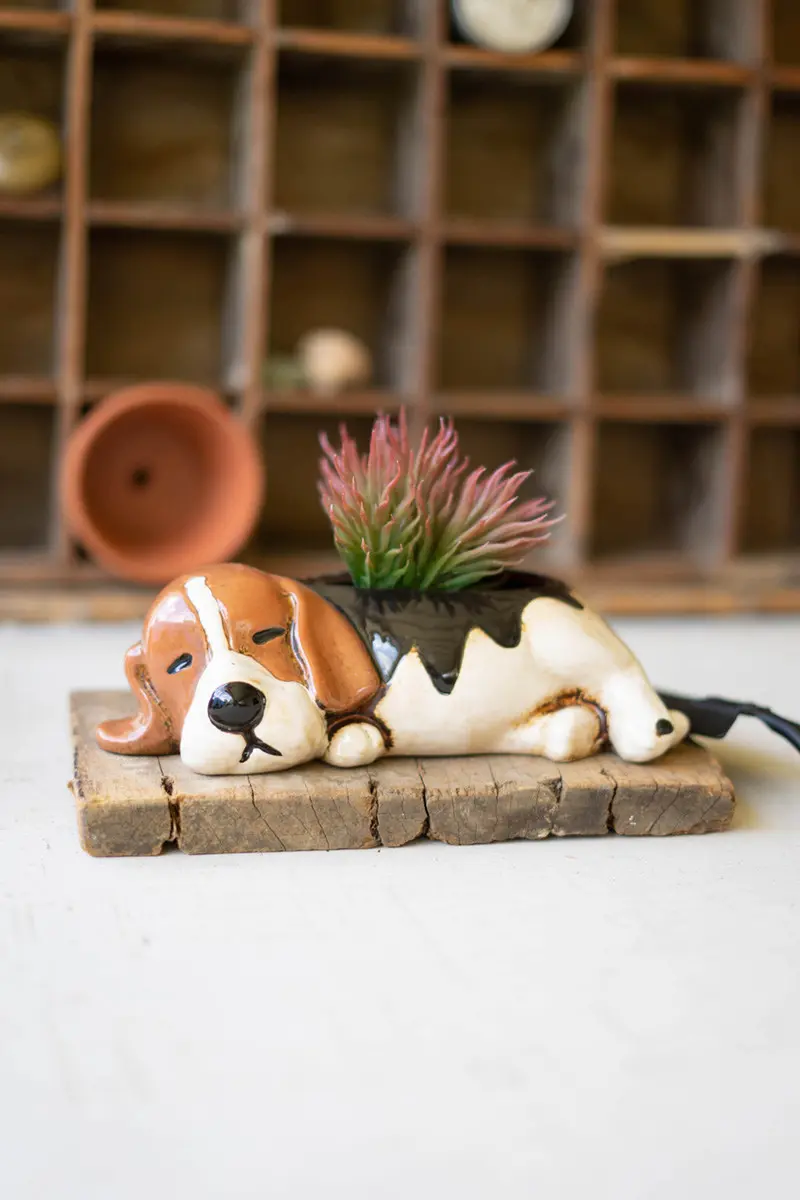 Ceramic Beagle Planter (Min 2) By Kalalou