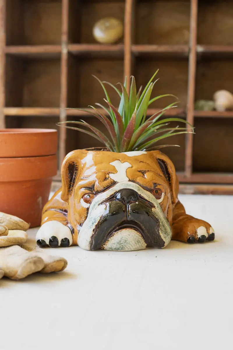 Ceramic Bulldog Planter (Min 2) By Kalalou
