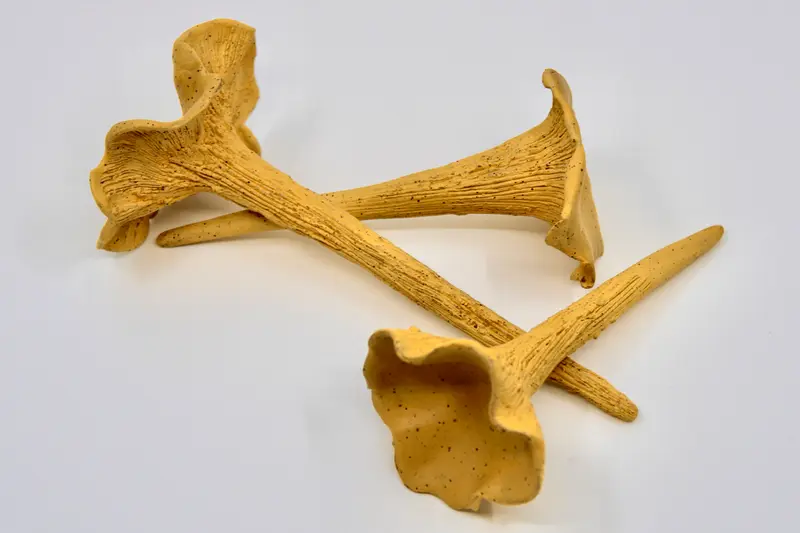Ceramic Chanterelle Mushroom Stakes for Planters CC