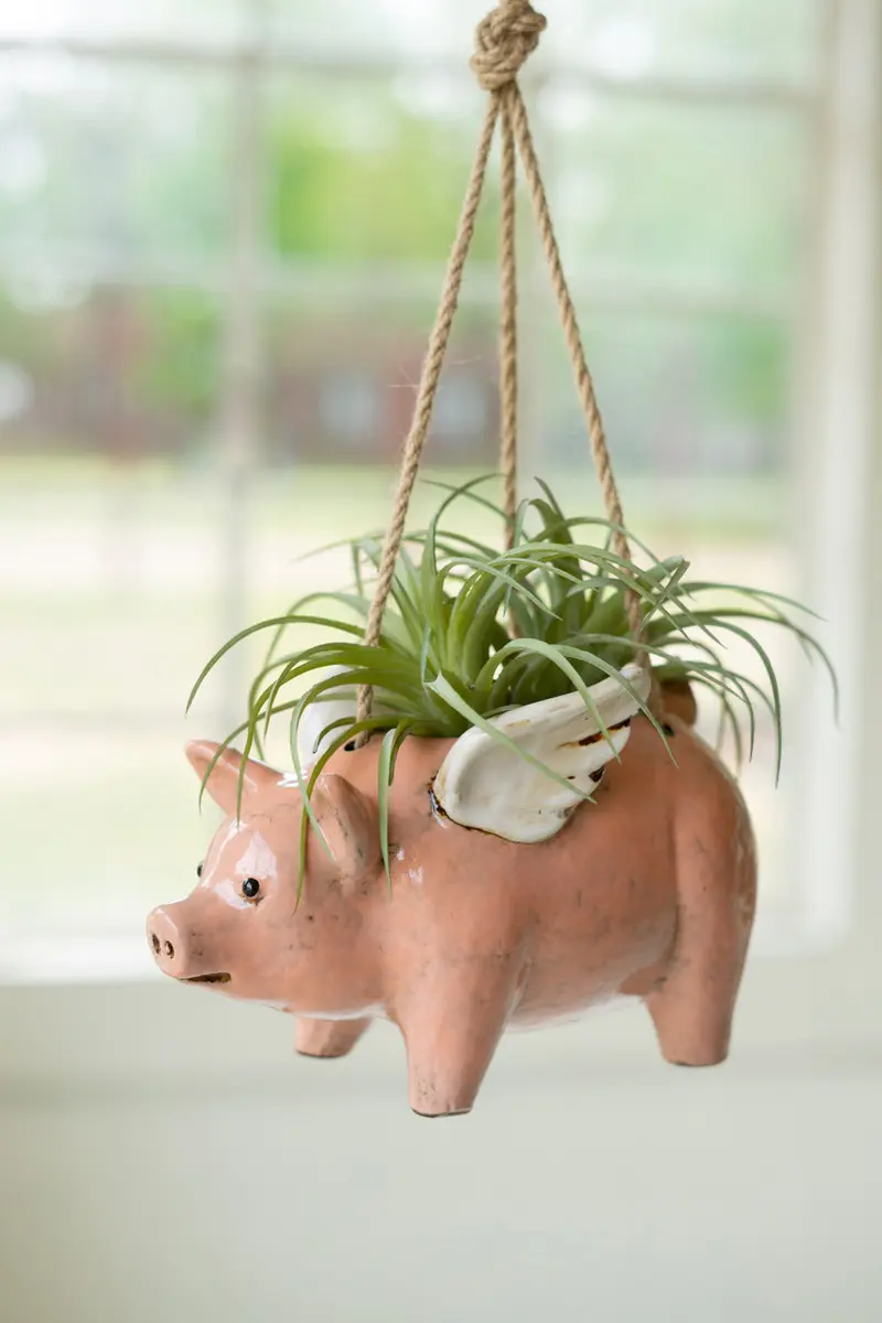 Ceramic Hanging Flying Pig Planter (Min 2) By Kalalou
