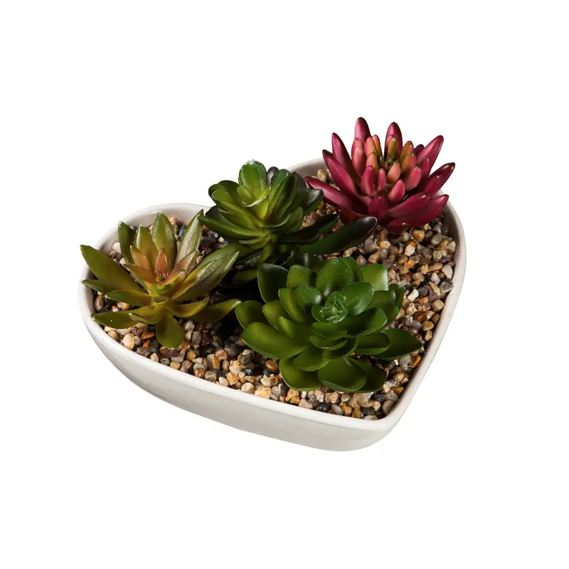Ceramic Heart Shaped Dish with Succulent Table Decor, 7.5"x7"x4"inches
