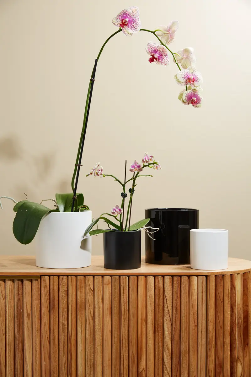 Cercle Pot Set of 8 By Accent Decor