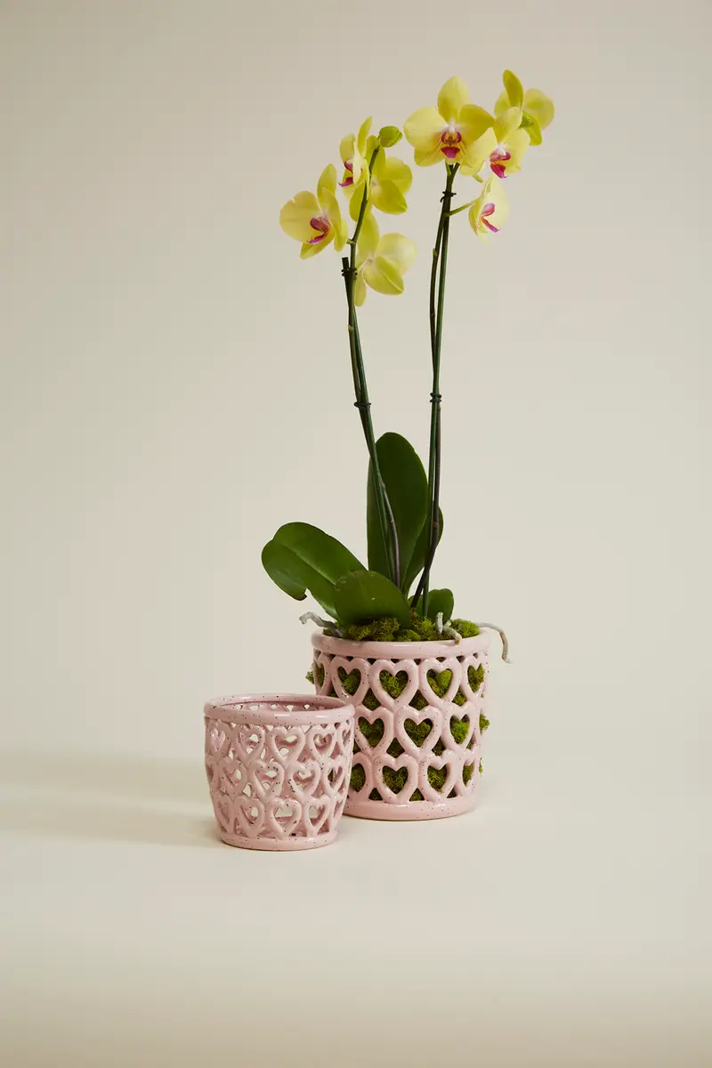 Cherished Hearts Orchid Pot Set of 4 By Accent Decor