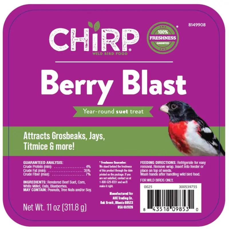 Chirp Berry Blast Suet Berry Suet 11 oz (Pack of 12)