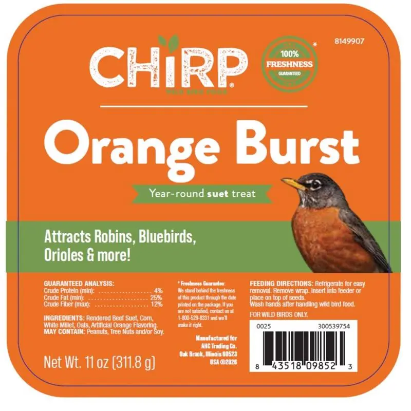 Chirp Orange Burst Suet Orange Suet 11 oz (Pack of 12)