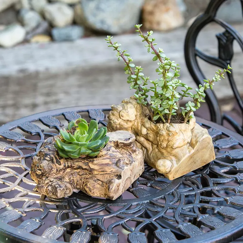 Coffee Root Succulent Pot Set of 12 By Garden Age Supply