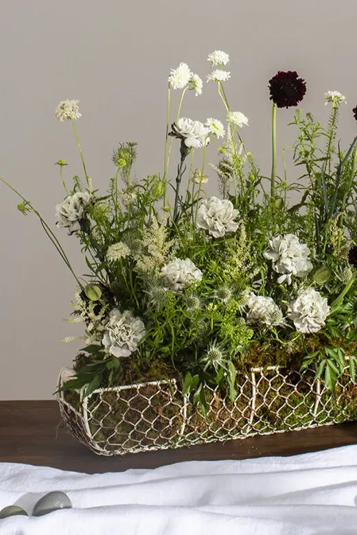 Coil Basket Set of 2 By Accent Decor
