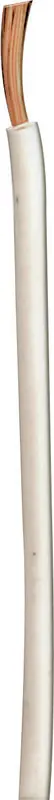 Coleman Cable 100 ft. Stranded 12 Ga. Primary Wire - Deal of The Week