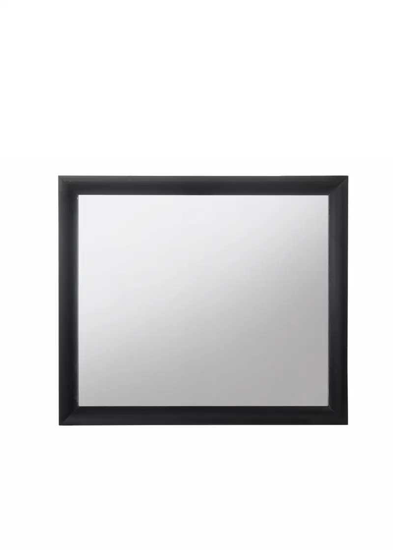 Contemporary Wood Frame mirror in Black By Homeroots
