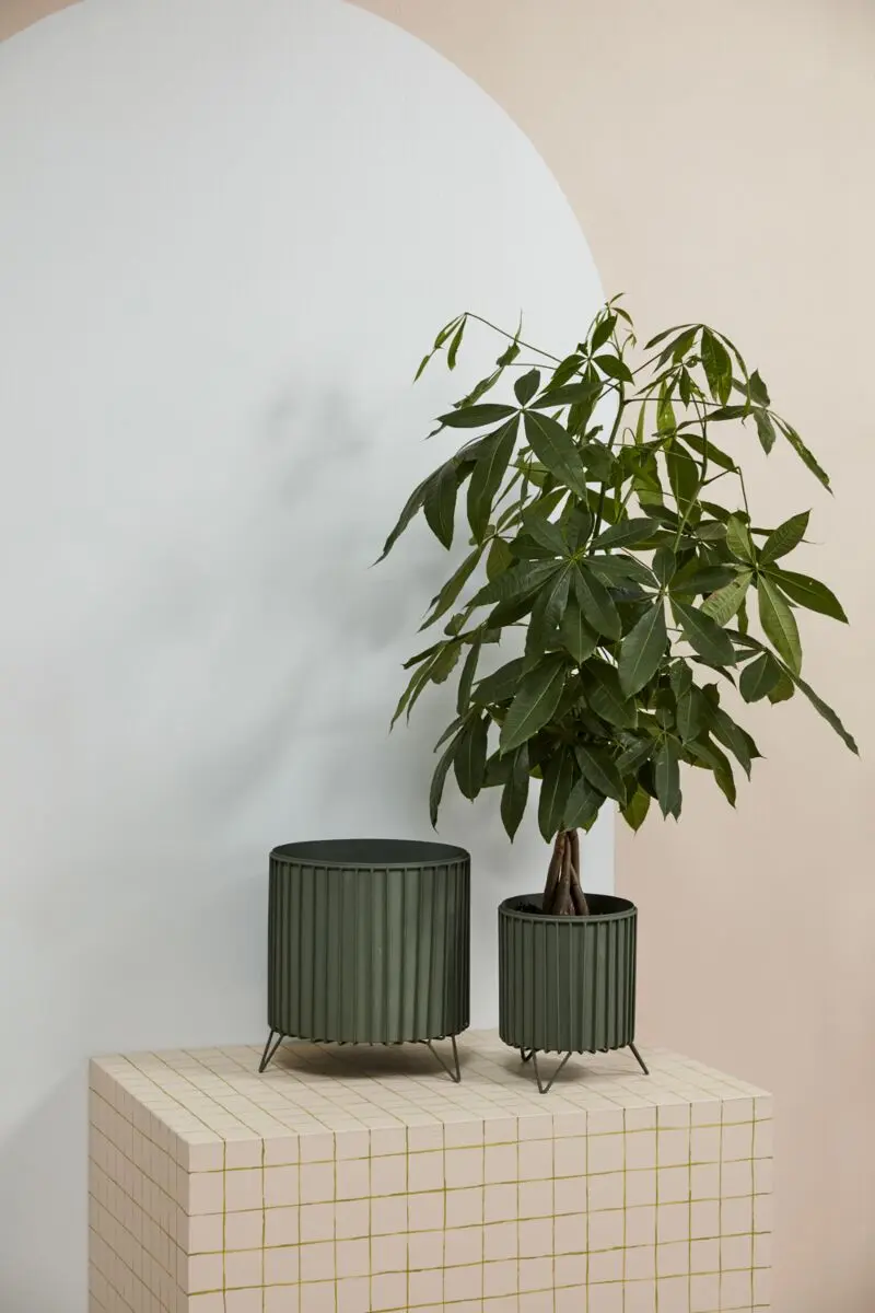Corum Planter 8.5"x 11" By Accent Decor