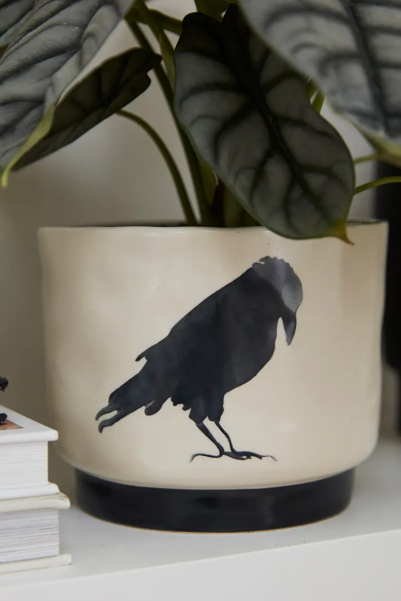 Corvus Pot Set of 4 By Accent Decor