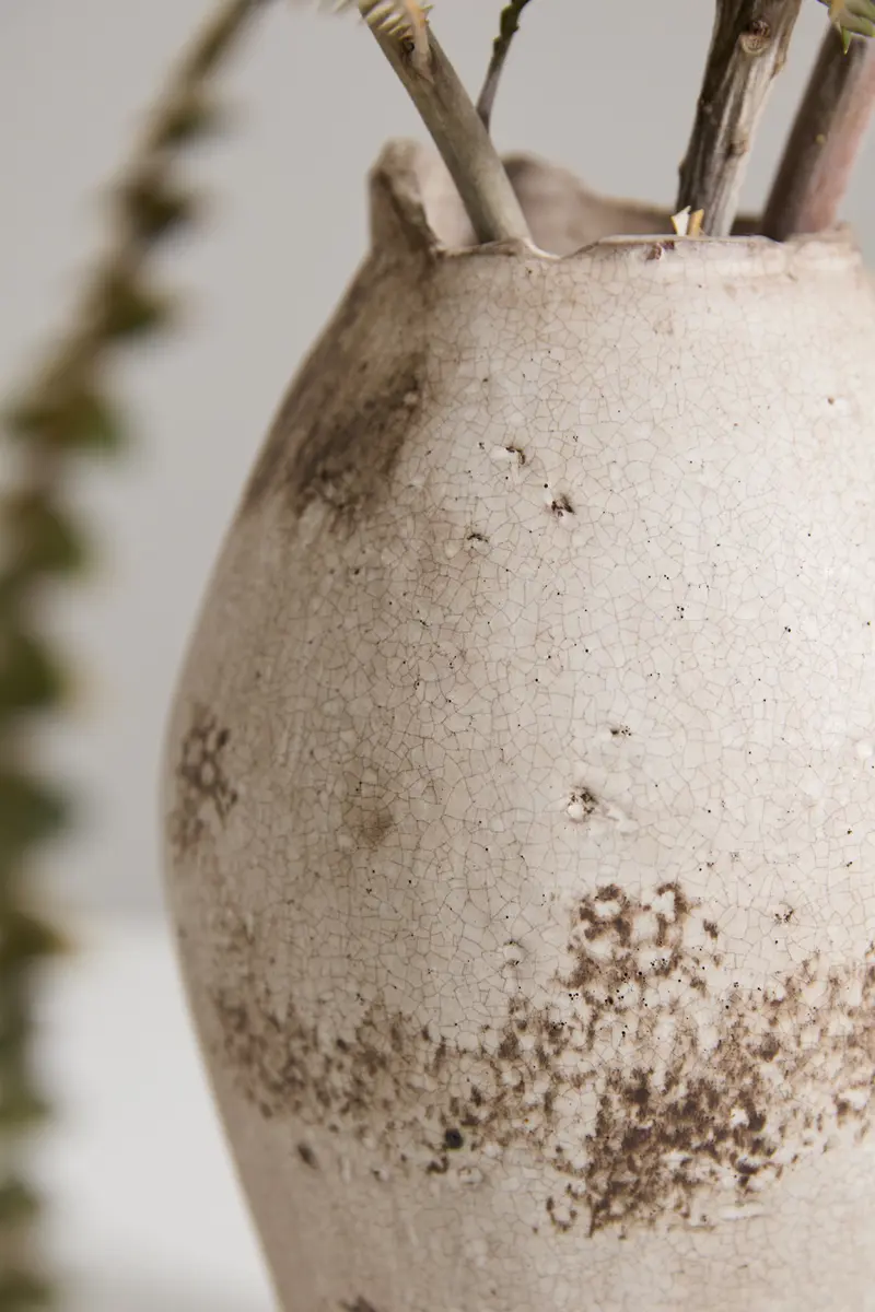 Danez Vase Set of 2 By Accent Decor