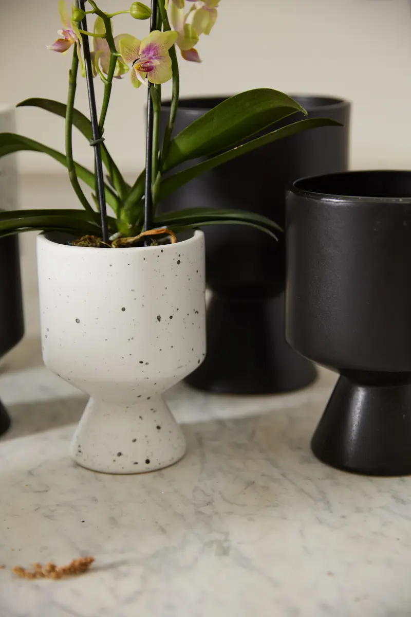 De Vil Pot Set of 4 By Accent Decor