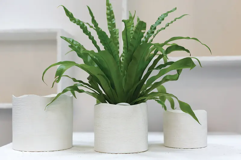 Delphi Pot Set of 8 By Accent Decor