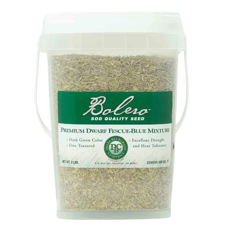Delta Bluegrass Company Bolero™ Premium Dwarf Fescue-Blue Mixture Sod Quality Seed