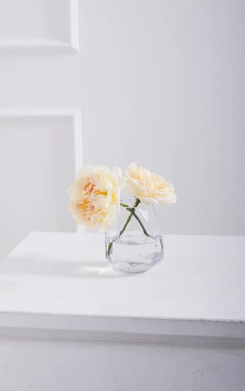 Denali Vase Set of 4 By Accent Decor