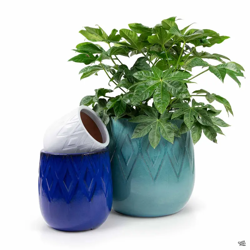 Deuce Diamond Planter
