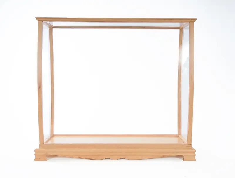 Display Case for Midsize Tall Ship Clear Finish By Homeroots