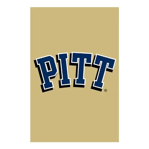Double Sided Gar Flag, University of Pittsburgh