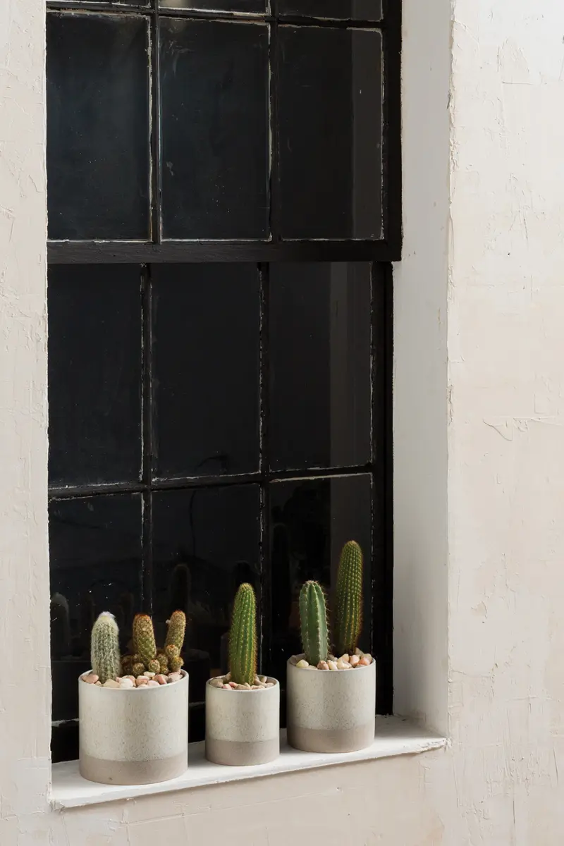 Downy Pot Set of 8 By Accent Decor