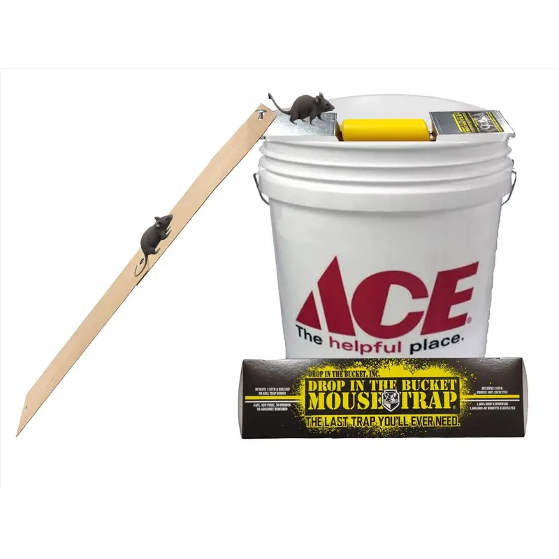Drop In The Bucket Reusable Medium Multiple Catch Animal Trap for Mouse - Deal of The Week