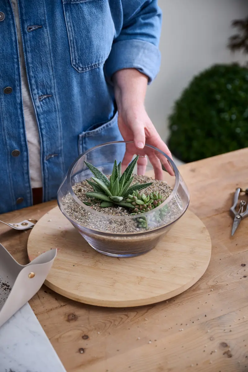 Dynamic Terrarium Set of 2 By Accent Decor