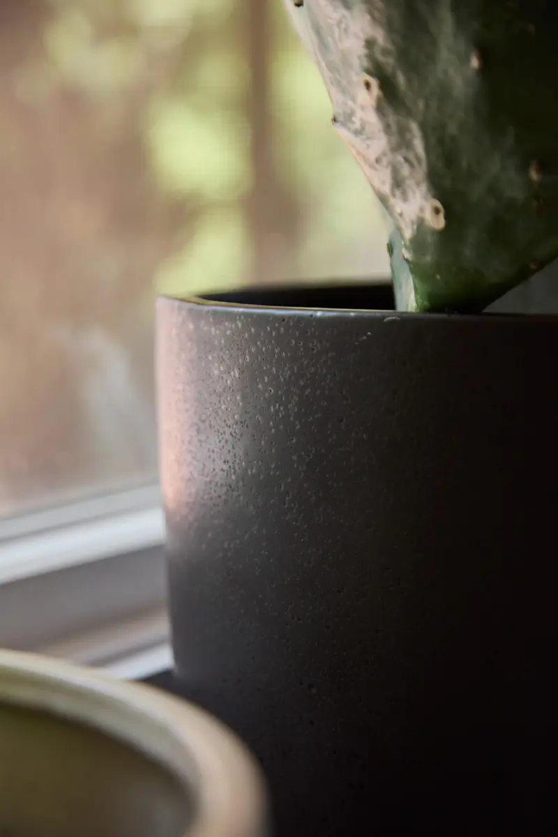 Elliott Pot By Accent Decor
