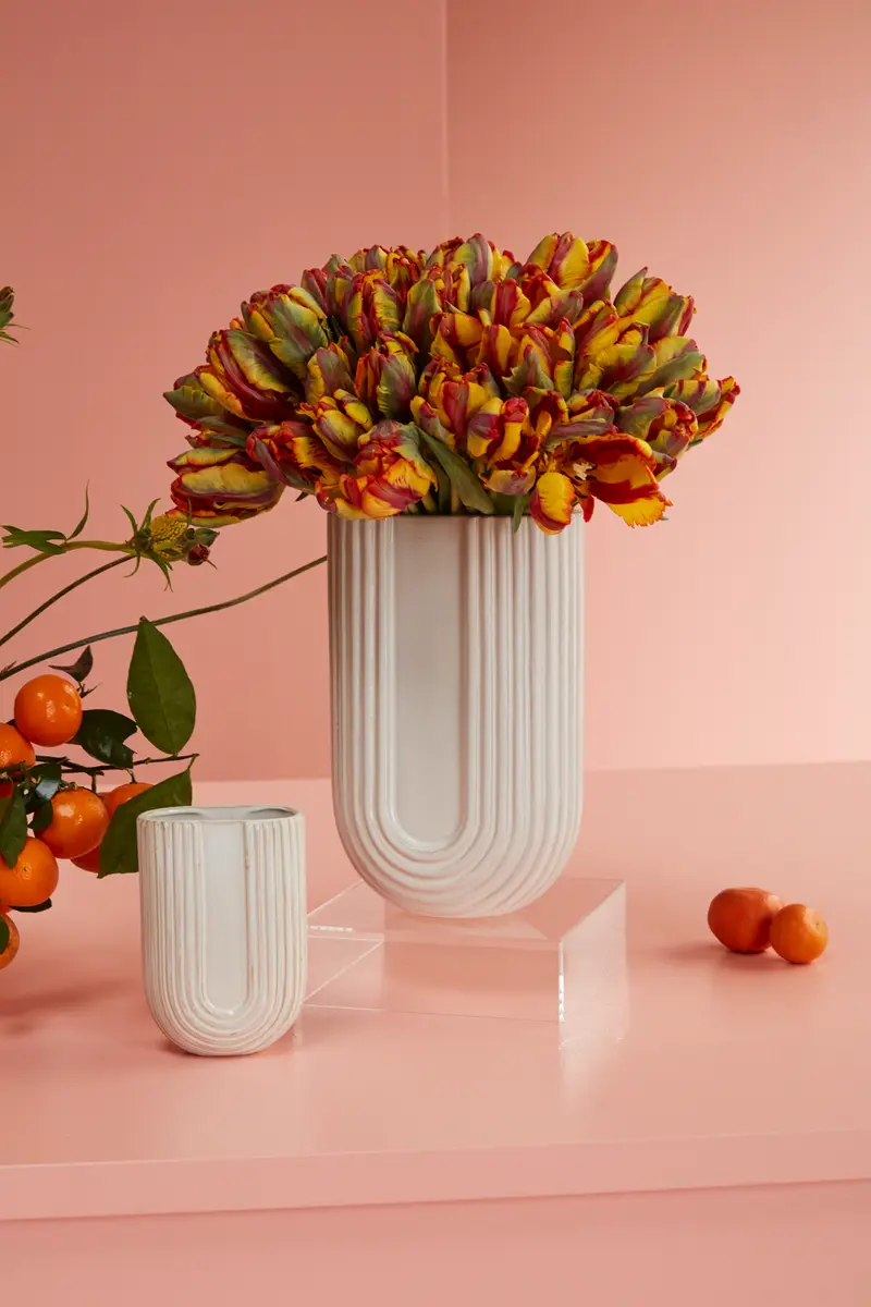 Eos Collection Set of 8 By Accent Decor