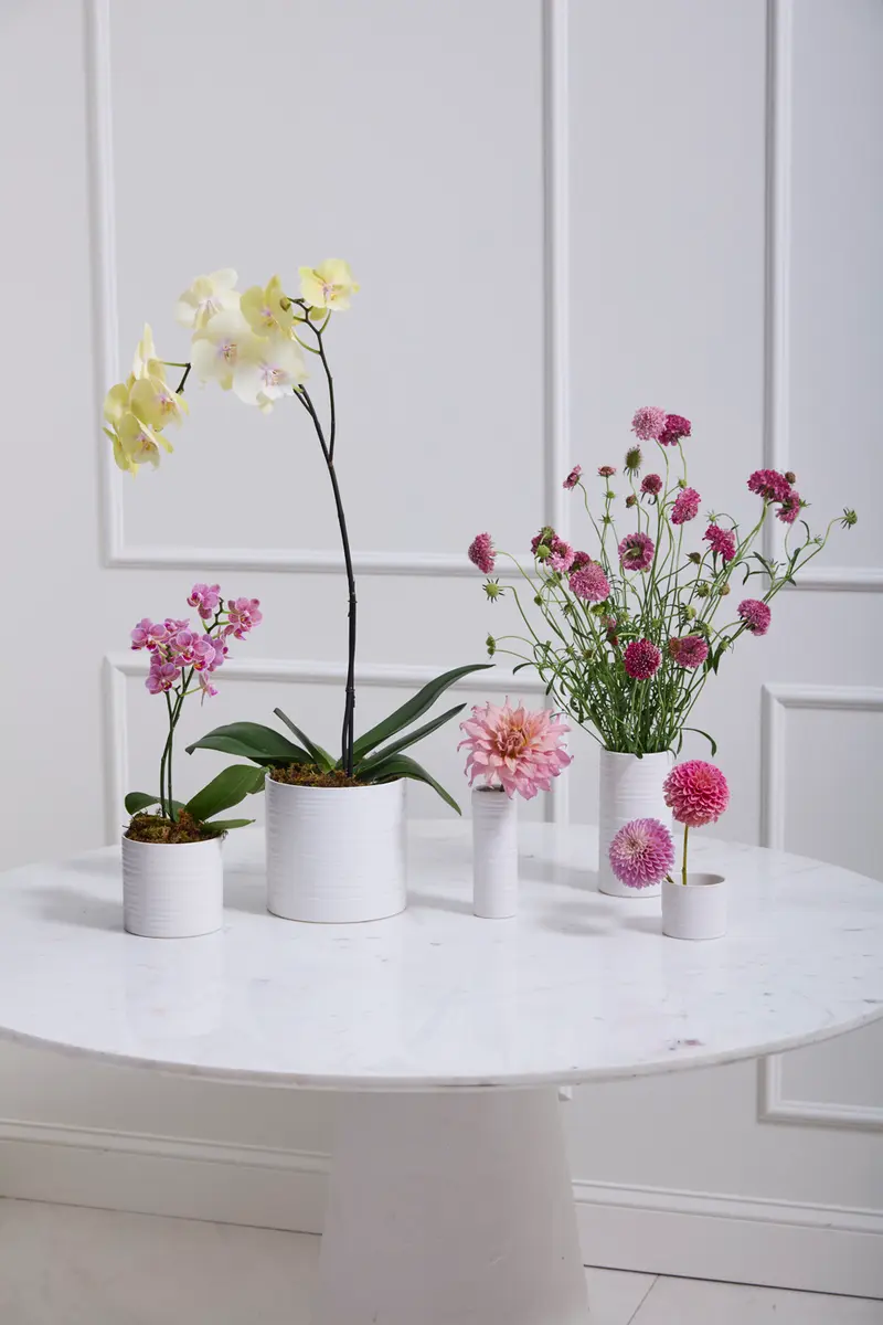 Everest Collection Set of 8 By Accent Decor