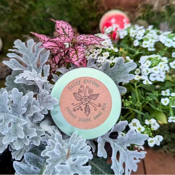 "Fairy Garden" Indoor Plant Seed Mix PX