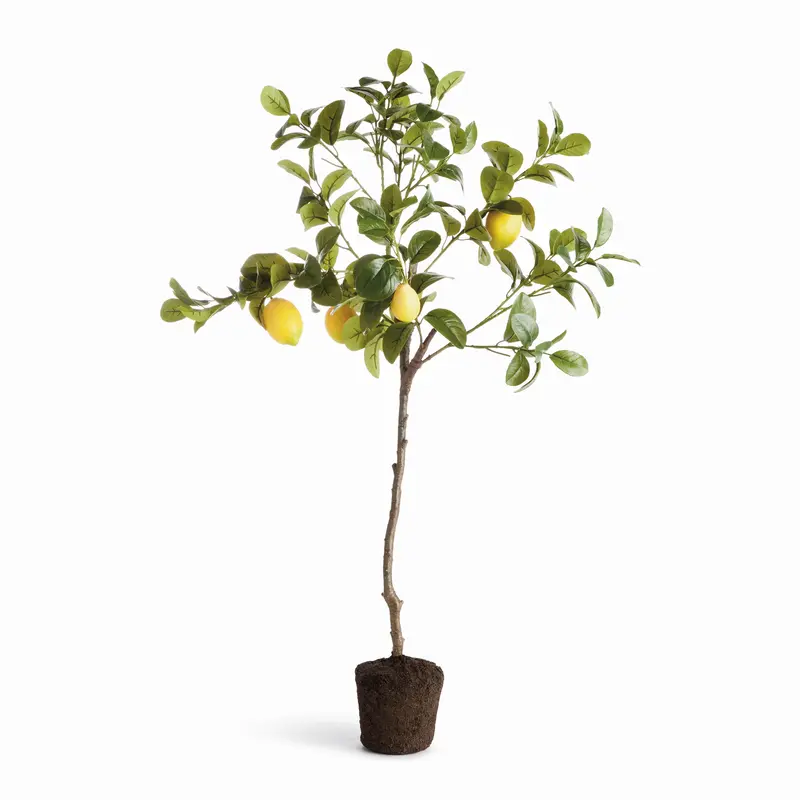 Faux Lemon Tree Drop-In 37"