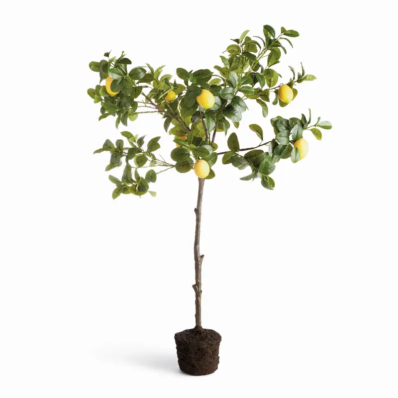 Faux Lemon Tree Drop-In 49"