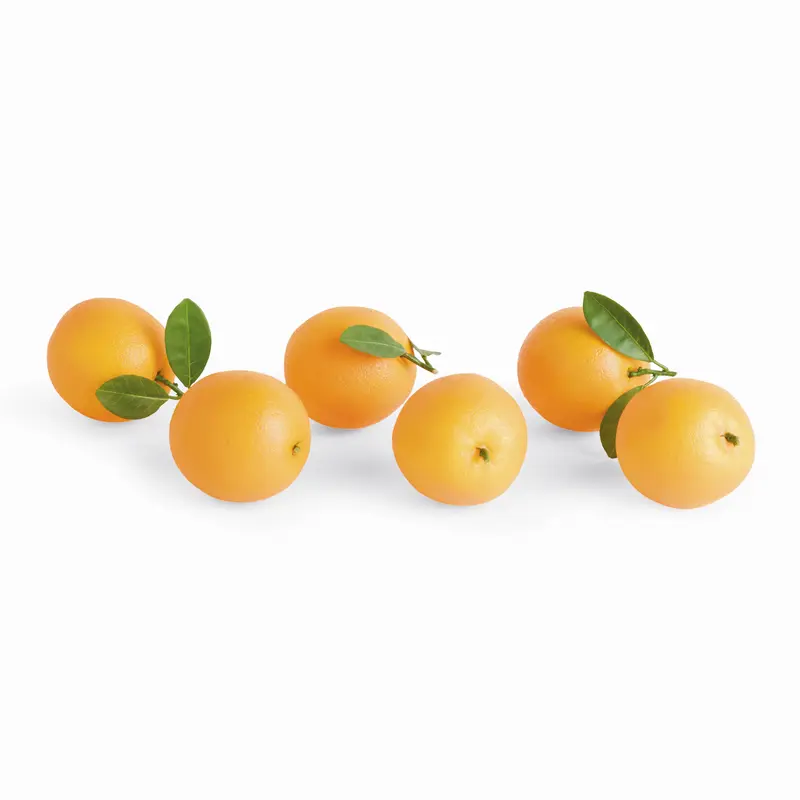 Faux Oranges 5" Assorted, Set Of 6