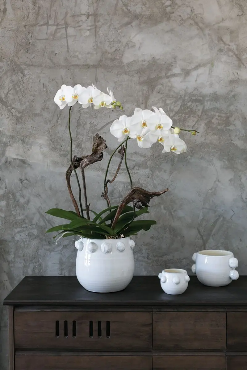 Fem Rosa Collection Set Of 4 By Accent Decor