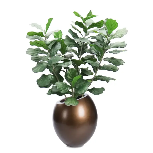 Fiddle Leaf in 29"H Sherry Pla By Gold Leaf Design Group