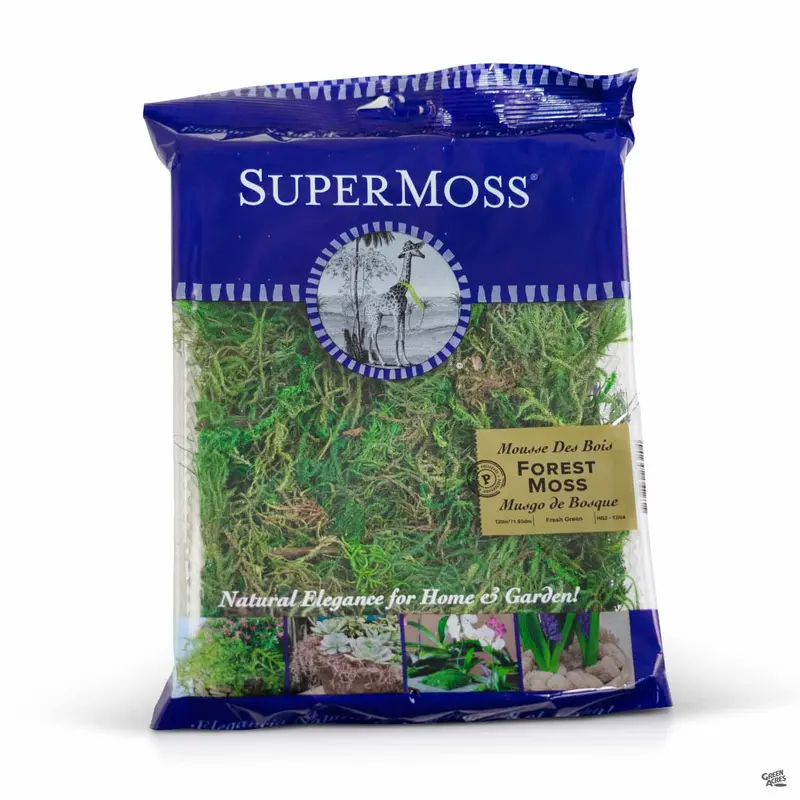 Forest Moss