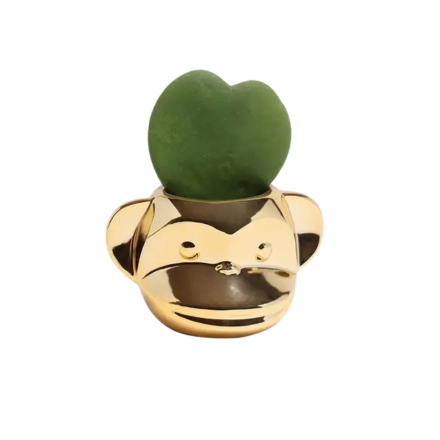 Funky Monkey Succulent Pot