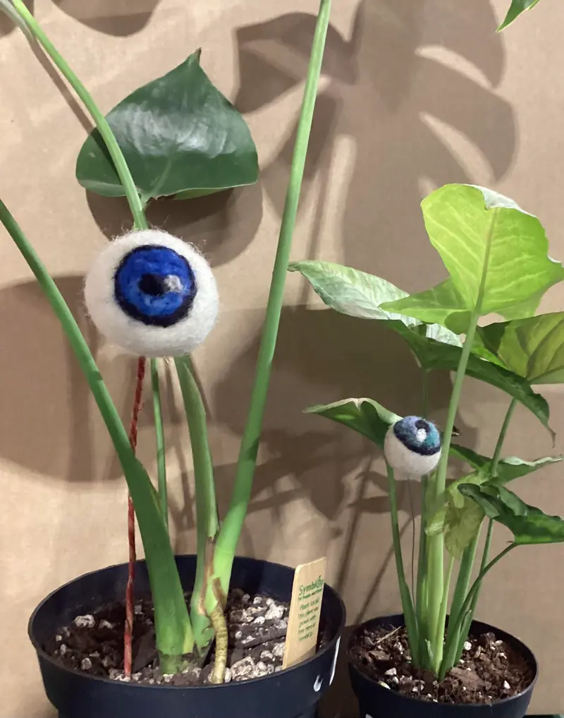 Fuzzy Felted Eyeballs CC