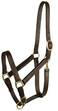 Gatsby Leather Adjustable Turnout Halter with Snap Durable Havana Horse Halter with Brass Hardware for Daily Use
