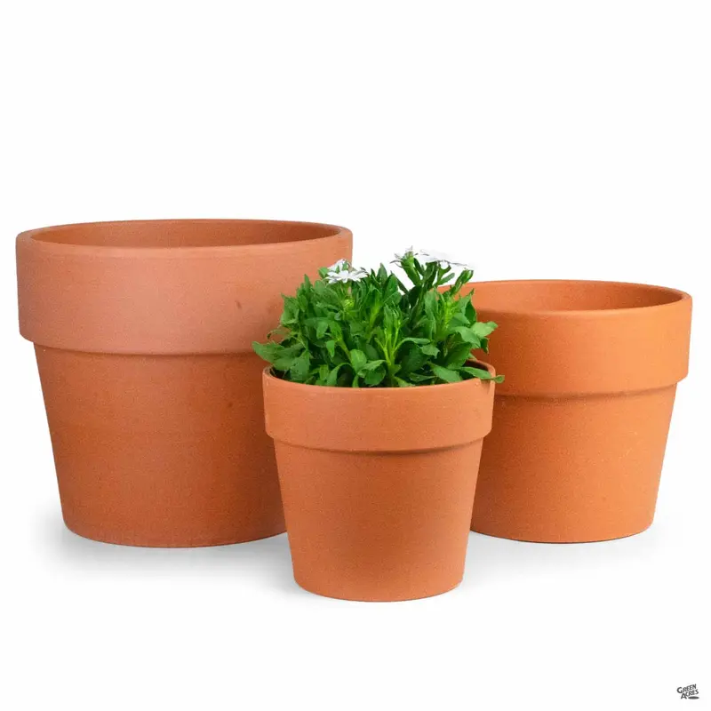 German Calima Clay Pot Terracotta