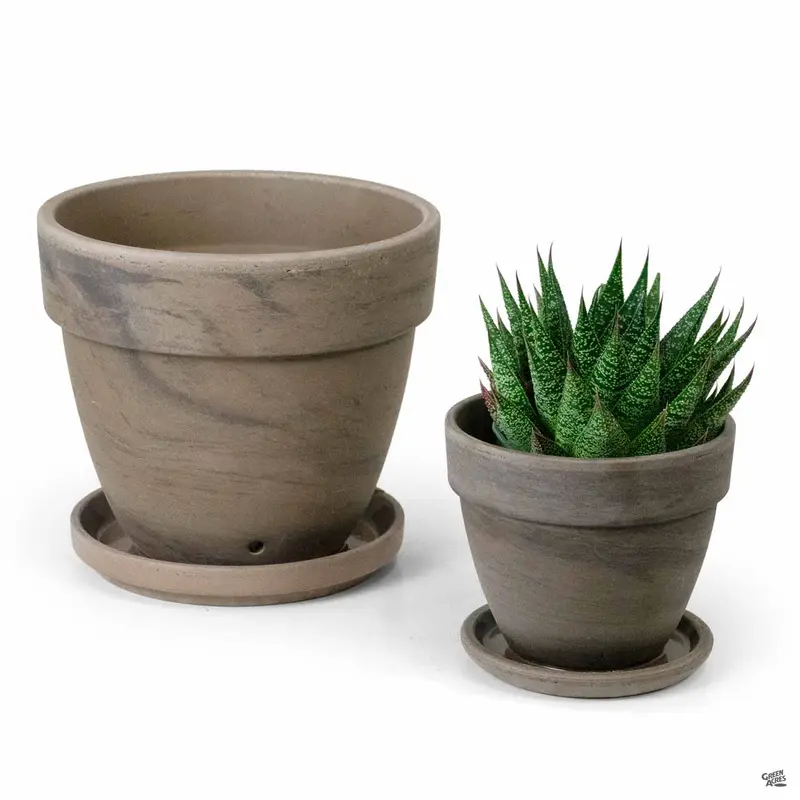German Levante Clay Pot Chocolate Marbled