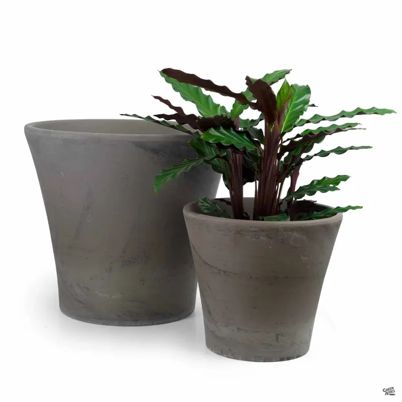 German Rio Clay Pot Chocolate Marbled