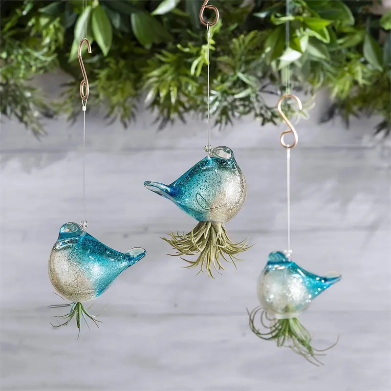 Glass Hanging Bird Airplant Holders, Set of 3 Blue