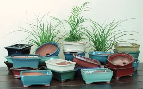 Glazed Bonsai Pots 6"