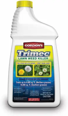 Gordon's Trimec Weed Killer Concentrate 1 qt