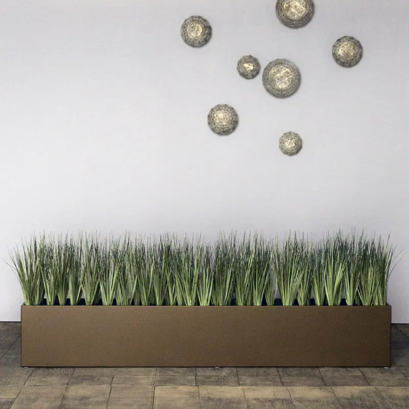 Grass