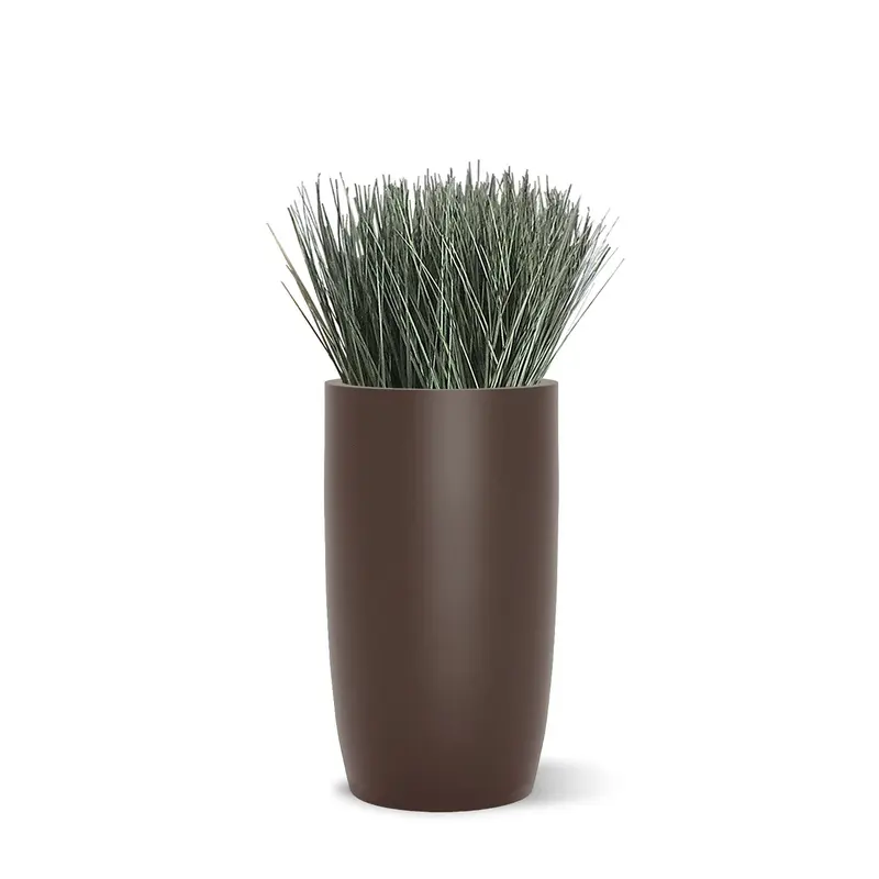 Grass