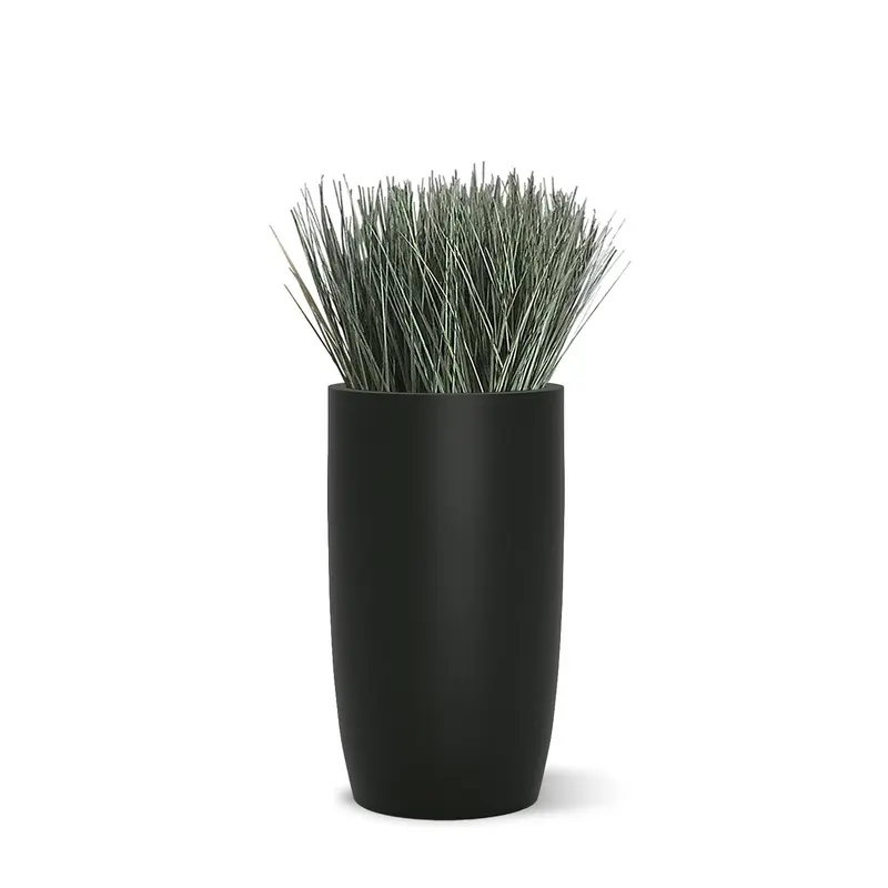 Grass
