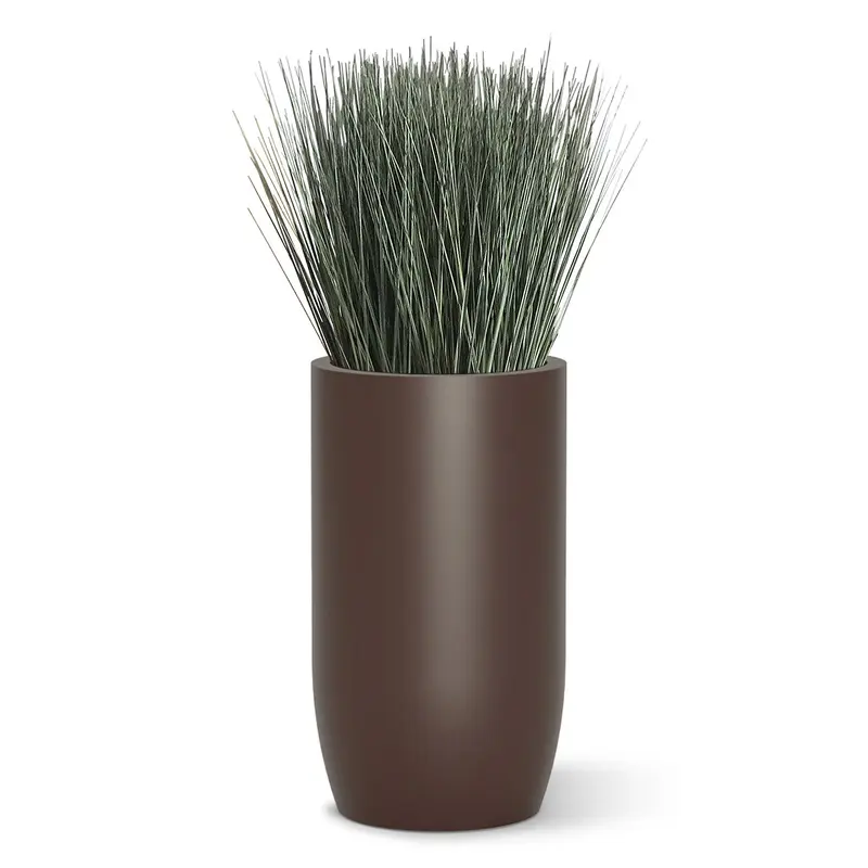 Grass